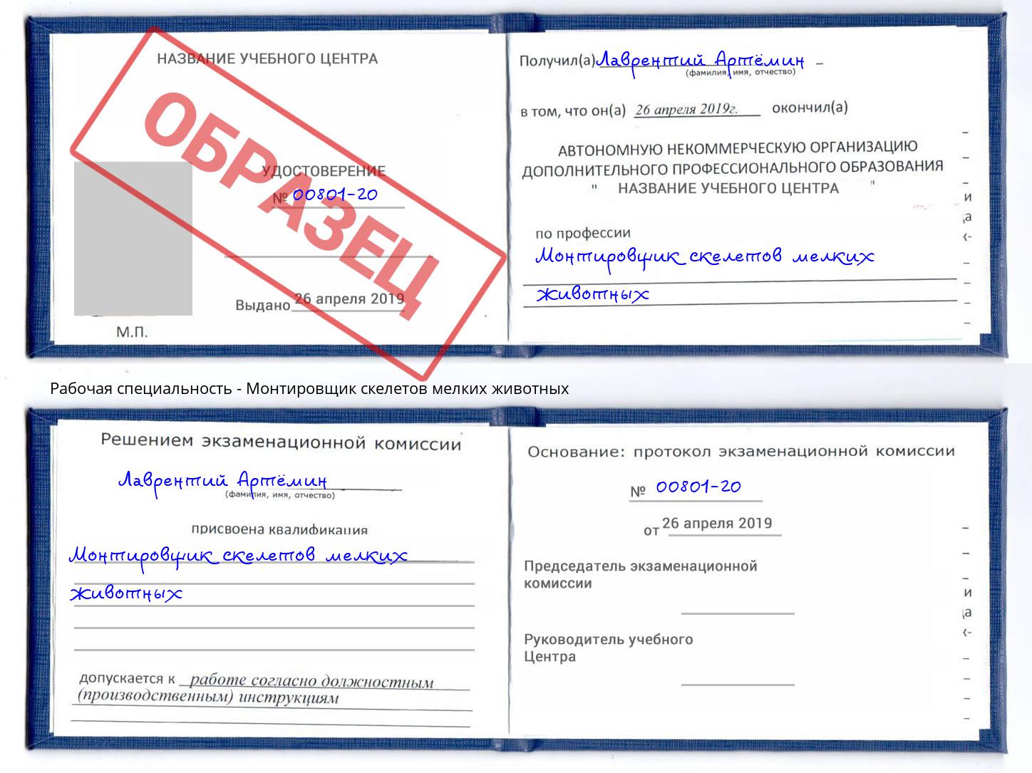 Монтировщик скелетов мелких животных Сыктывкар