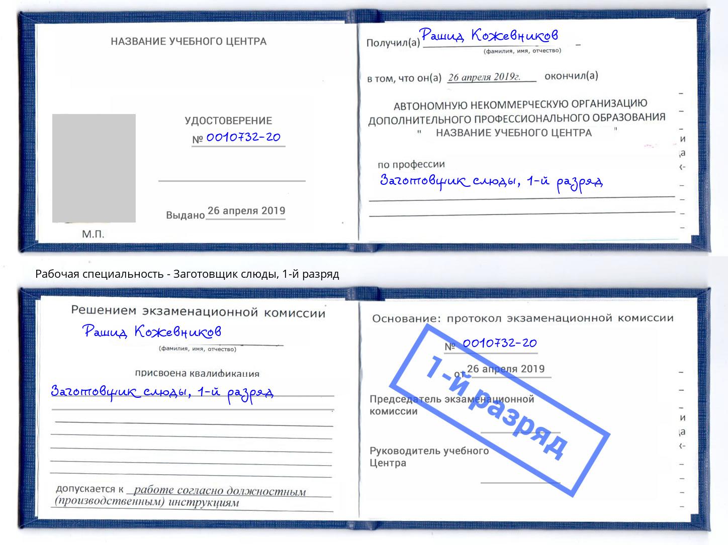 корочка 1-й разряд Заготовщик слюды Сыктывкар